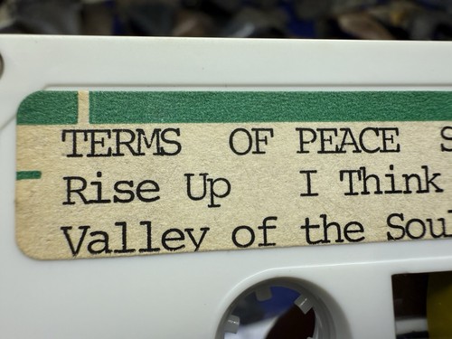 1980 terms peace demo - 1980’s,