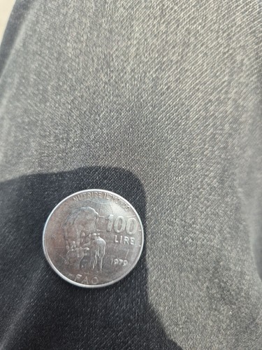 Moneta 100 lire anno - moneta,