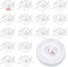 50 Veli Di Tulle Rotondi in