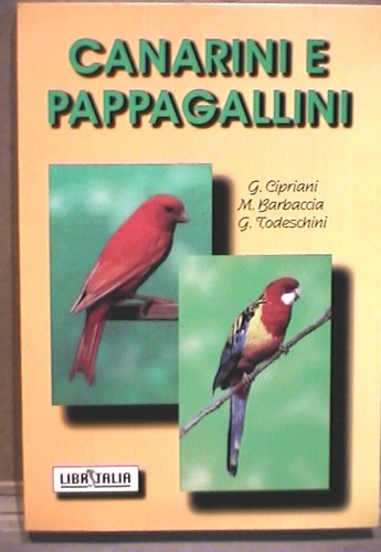 Allevamento cura canarini - allevamento,