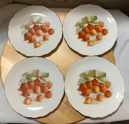 Lotto piatti insalata di - piatti/insalata,