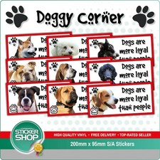 Dogs Are More Loyal Than