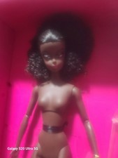 Barbie Silkstone Fashion Model