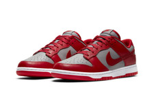 Nike Dunk Low Retro Medium