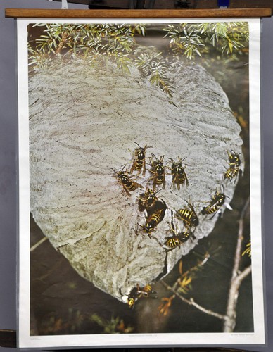 Poster vintage stampa scuola - poster,