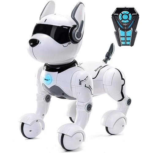 Cane robot radiocomandato - cane,