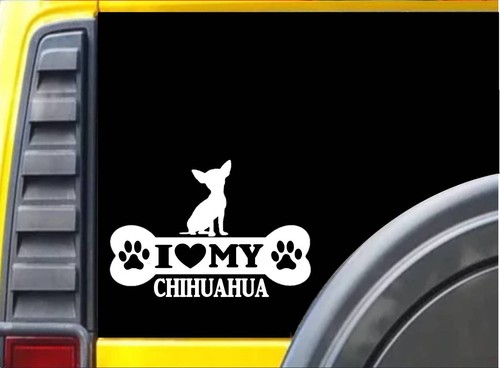 Adesivo chihuahua bone l077 - adesivo,
