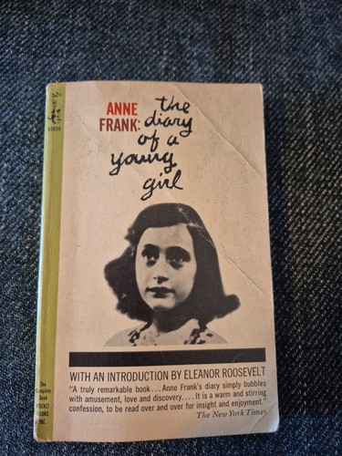 The diary young girl - diary,