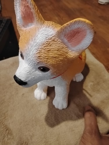 Corgi puppy - corgi,