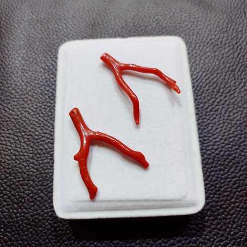 Corallo rosso naturale - , grezzo