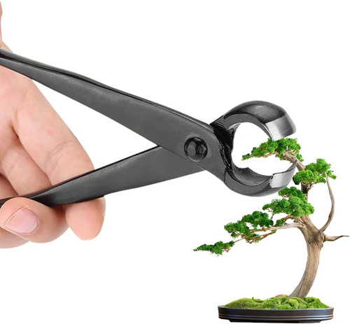 Taglierina concava bonsai - concava,