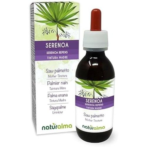 Serenoa palma nana - o,
