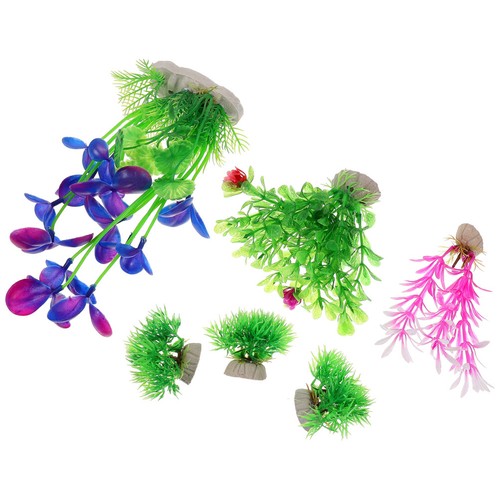 Pcs piante d acquario - , d'acquario
