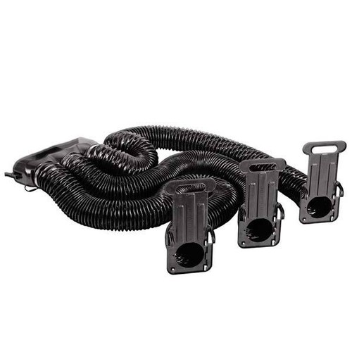 Professionale cane animale - cane,