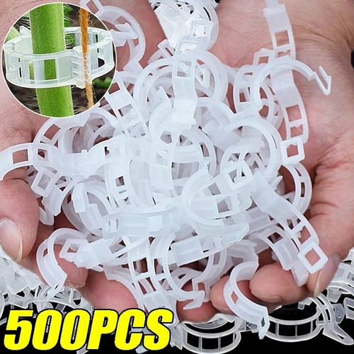 100x clip pomodoro ortaggio - clip,