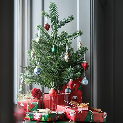 Ikea vinterfint pianta - vinterfint,