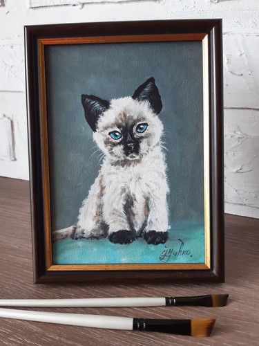 Quadro gatto siamese animale