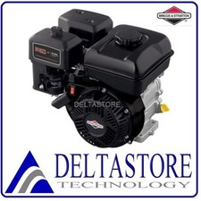 MOTORE BRIGGS & STRATTON 550