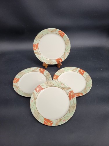 Piatti corelle coordinates - piatti,