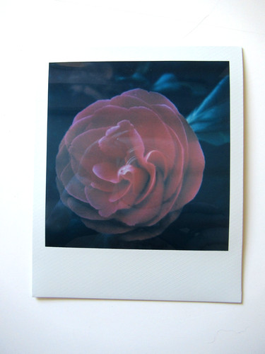 Araki polaroid originale - polaroid,