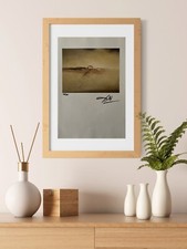 Salvador Dalí, stampa