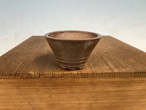 Sconosciuto vaso per - , bonsai