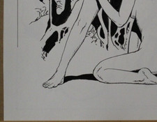 LUCIANO BERNASCONI - SAINT