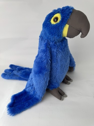 Hyacinth macaw blue parrot - macaw,