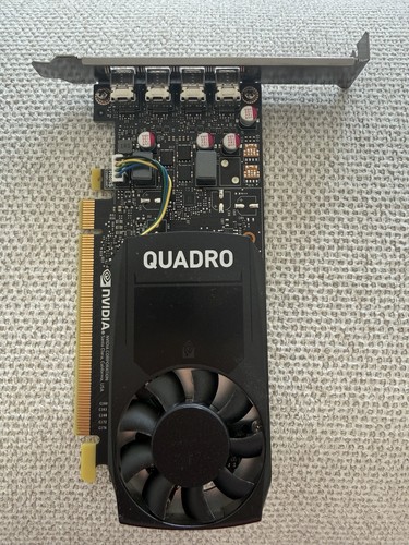 Pny quadro p1000 - quadro, high