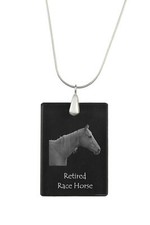 Cavallo corsa pensione - cavallo, da
