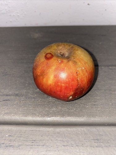 Antica pietra alabastro