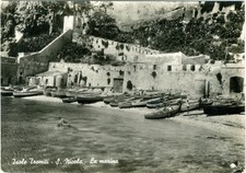 ISOLA SAN NICOLA ISOLE TREMITI