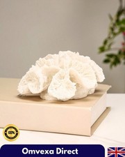 Ornamento Fiore Corallo