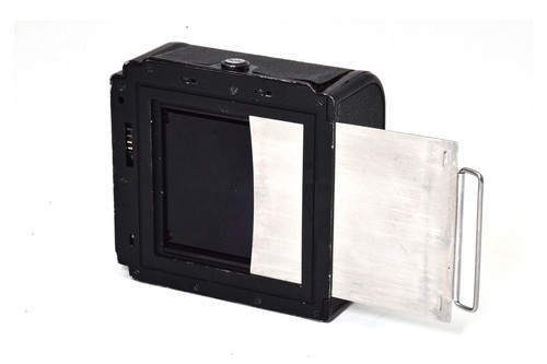 Dorso hasselblad pose - dorso,
