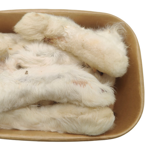 Piedi coniglio pelosi - piedi, |