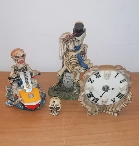 Collezione pezzzi scheletri - pezzzi,