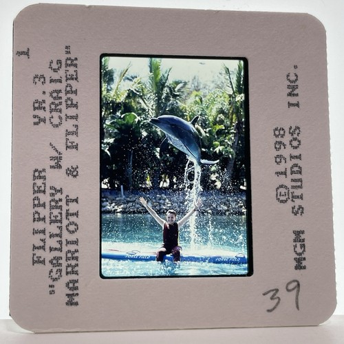 Flipper diapositiva 35mm - , anni
