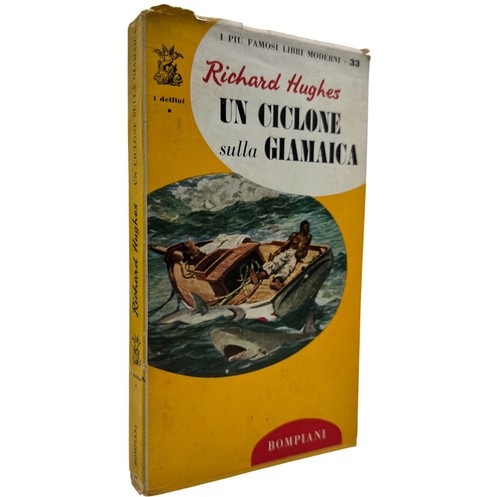 Ciclone sulla giamaica - ciclone,