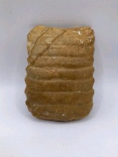 Piatto bocca di razza fossile