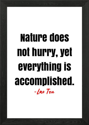 Lao tzu citazione con - lao,