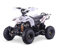 Carene Plastica Quad Modello