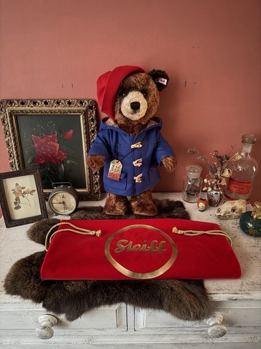 Raro orso paddington - paddington, gigante