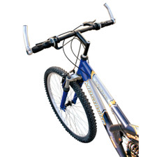 COPPIA APPENDICI CORTE CORNA