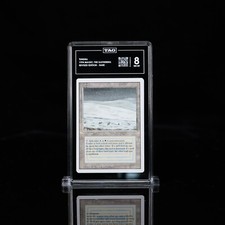 Tundra Magic The Gathering