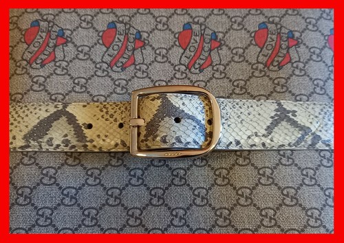 Cintura gucci pitone stampato - cintura,