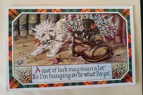 Dog cat postcard west - dog/cat, postcard,