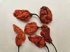 Naga Morich Red secco 5g