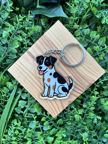 Jack russell terrier - jack, dog