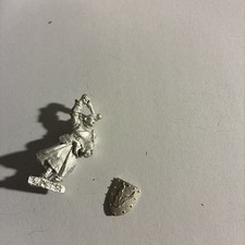 warhammer fantasy warrior