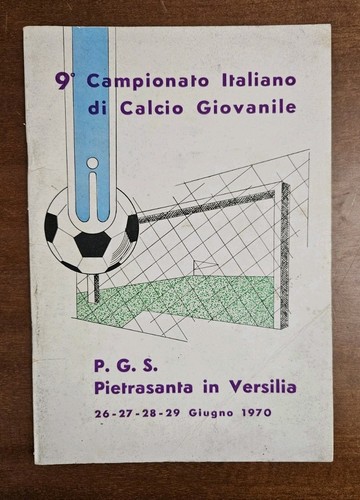 Pietrasanta in versilia - p.g.s.,